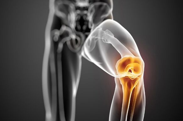 The knee joint is joint joint