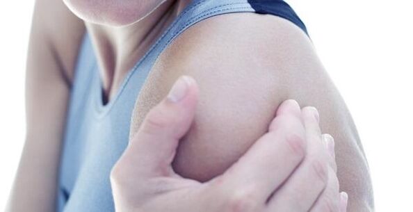 Shoulder joint joint joint joint