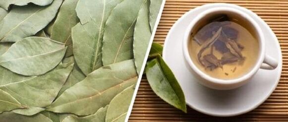 Treatment of arthrosis with bay leaves
